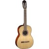 Акустическая гитара Cort AC100 SG