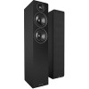 Напольная акустика Acoustic Energy AE109 (черный)