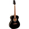 Акустическая гитара Flight AG-210 BK