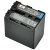 Аккумулятор DSTE аналог Sony NP-QM91D