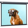 Проекционный экран CACTUS Wallscreen 149x265 CS-PSW-149X265-SG