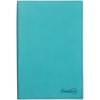 Книжка записная Copybook 2в1, 145 x 213 мм, 80 листов клетка + 80 листов линия, шоколадная/бирюзовая