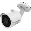 CCTV-камера Ginzzu HAB-2031S