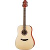 Акустическая гитара Crafter HD-250/N