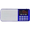 Радиоприемник Perfeo Егерь i120-BL