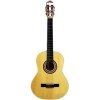 Акустическая гитара Homage LC-3900-N