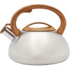 Чайник со свистком Appetite LKD-4330BR