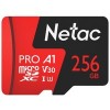 Карта памяти Netac 256GB 500 Extreme Pro NT02P500PRO-256G-R (с адаптером)