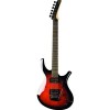 Электрогитара Parker Guitars PDF85FWSB