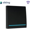 Выключатель Sibling Powerlight-M1B 1-канальный
