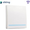Выключатель Sibling Powerlight-M1W 1-канальный