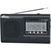 Радиоприемник Ritmix RPR-4000