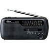 Радиоприемник Ritmix RPR-7040