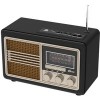 Радиоприемник Ritmix RPR-070