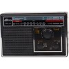 Радиоприемник Ritmix RPR-191