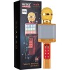 Микрофон Wster WS-1828 (золотистый)